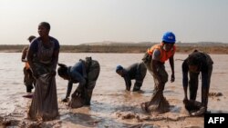 Les accusations de travail des enfants, de conditions de travail dangereuses et de corruption dans le secteur artisanal pèsent sur l'ensemble de l'industrie du cobalt en RDC.