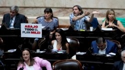 Argentina: Congreso inicia debate de reformas clave para el presidente Javier Milei