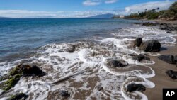 FILE - The tide circulates around rocks as it rises at Wahikuli Wayside Park on Nov. 3, 2023, in Lahaina, Hawaii.