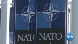 Ukraine to Push for Invitation to NATO at Vilnius Summit 