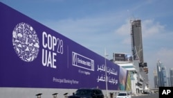 2023年11月27日，阿聯酋杜拜街頭的COP28宣傳板。（美聯社照片）