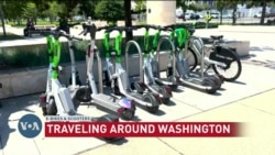 Transportation Options in Washington DC