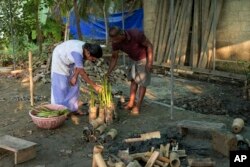T. P. Murukesan and wife, Geetha Murukesan, plant mangrove saplings in between bamboo pieces at their home nursery on Vypin Island in Kochi, Kerala state, India, on March 4, 2023.