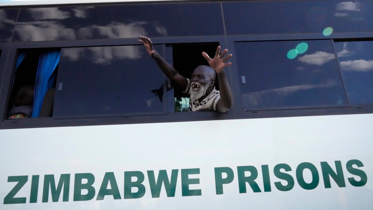 Victim Family Dismayed as Sex Offender Freed in Zimbabwe's Amnesty Gains Social Media Fame - Vimarsana News