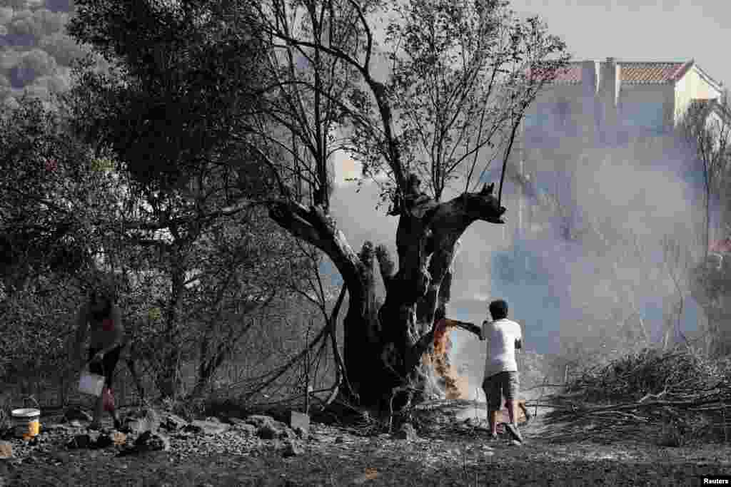 Men drop water on a tree during a wildfire, in Kitsi, near the town of Koropi, Greece.
