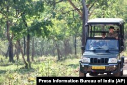 Indian Prime Minister Narendra Modi rides in a jeep during his visit to Bandipur Tiger Reserve in southern state of Karnataka, April 9, 2023.