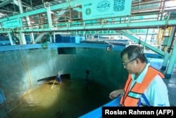 Leow Ban Tat, CEO dan pendiri Aquaculture Centre of Excellence (ACE) Farm Eco Ark, memperhatikan para pekerja yang sedang membersihkan tangki di Singapura. (Foto: AFP/Roslan Rahman)