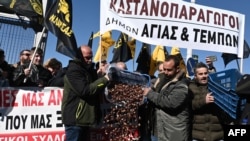 Farmers dump spoiled chestnuts on the pavement at the Agrotica agricultural fair in Thessaloniki for the third day, on Feb. 3, 2024, as they protest against rising operating and production costs.