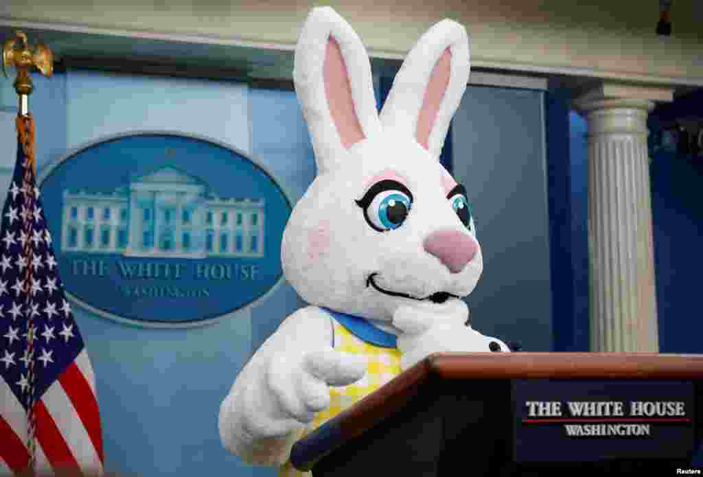 El Conejo de Pascua hace una aparición especial desde el atril en la rueda de prensa diaria de la Casa Blanca.
