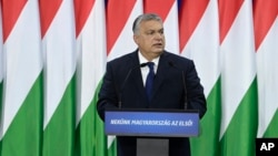 Mađarski premijer Viktor Orban (Foto: Szilard Koszticsak/MTI via AP)
