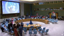 ARHIVA - Sednica Saveta bezbednosti Ujedinjenih nacija (Foto: Youtube/United nations)