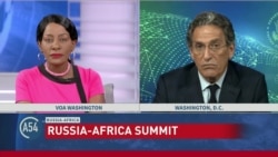 US Questions Russia's Interest in Africa Following Summit