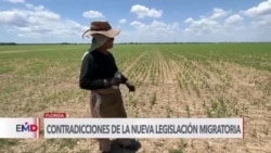 Leyes migratorias de Florida impactarían la industria agrícola de EEUU