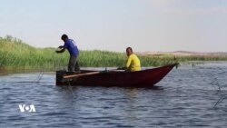 Masîgirtin li Çemê Feratê li Rojava Çavkanîya Pêjîyana Pir Kesan E