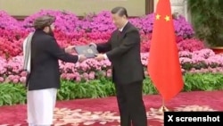 The Taliban's ambassador to China, Asadullah Bilal Karimi, left, is seen presenting his credentials to Chinese President Xi Jinping, in a photo posted on X Jan. 30, 2024, by Abdul Qahar Balkhi, spokesperson of the Taliban's foreign ministry.