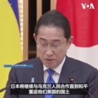 日本将向乌克兰提供重建援助 