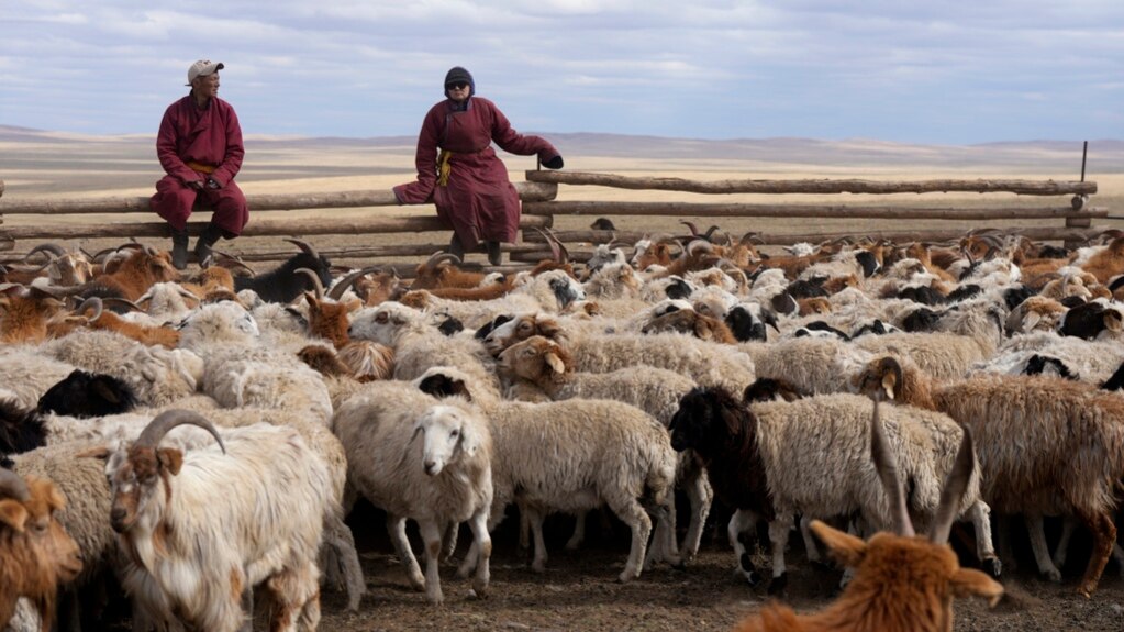 Pastoralists Modernizing to Deal With Climate Change, New Lifestyles