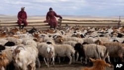 FILE - A neighboring herder talks to Agvaantogtokh, left, sitting on a livestock fence in the Munkh-Khaan region of the Sukhbaatar district in southeast Mongolia, May 16, 2023. (AP Photo/Manish Swarup)