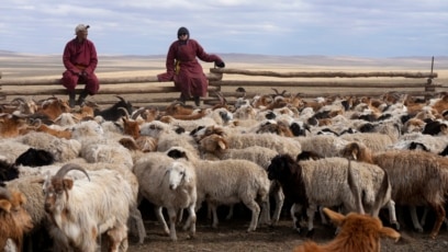 Pastoralists Modernizing to Deal With Climate Change, New Lifestyles