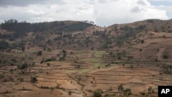 Ethiopia Tigray Forcible Displacement