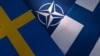 Белый дом приветствовал решение венгерского парламента о вступлении Швеции в НАТО
