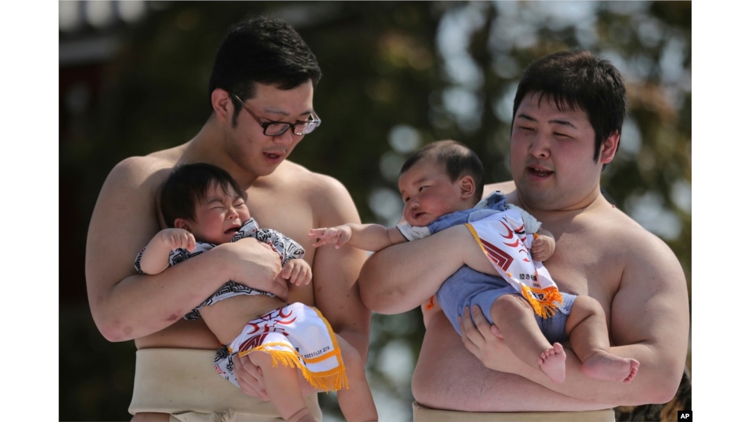 FILE - Held by college sumo wrestlers, a couple of babies compete during Crying Baby Contest at Sensoji Buddhist temple in Tokyo, on April 26, 2014. The number of babies born in Japan last year fell for an eighth straight year to a new low. (AP Photo/Eugene Hoshiko, File)