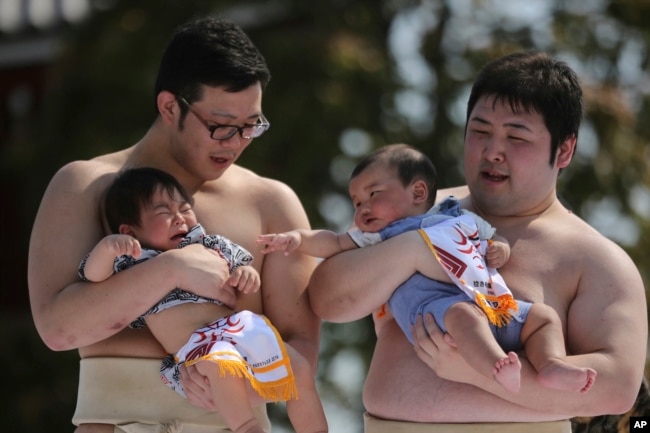 FILE - Held by college sumo wrestlers, a couple of babies compete during Crying Baby Contest at Sensoji Buddhist temple in Tokyo, on April 26, 2014. The number of babies born in Japan last year fell for an eighth straight year to a new low. (AP Photo/Eugene Hoshiko, File)