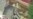 16x9 Image