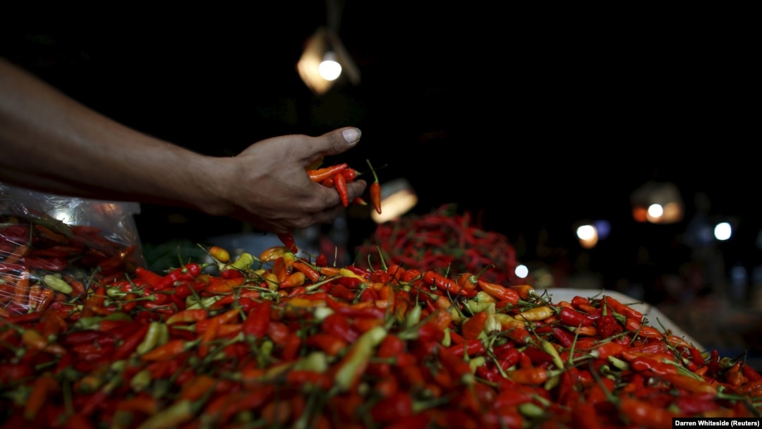 Seorang penjual cabai sedang memilah hasil panennya di kiosnya di pasar tradisional Jakarta, 4 Juni 2015. Komoditas cabai adalah salah satu penyumbang utama inflasi pada Desember 2023. (Foto: REUTERS/Darren Whiteside)