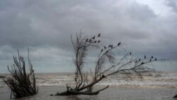 El descenso de las temperaturas, y la posibilidad de lluvia, podrían ayudar a los bomberos que luchan los fuegos en el sur de Nuevo México. 