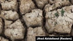 (FILE) Dry ground in a dam in Tunisia.