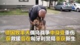 德过牧羊犬俄乌战争中身受重伤 获救援后在匈牙利警局重获新生