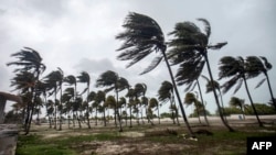 Winds whip palm trees on an empty beach during the passage of Tropical Storm Beryl in Progreso, on the Yucatan Peninsula, Mexico, on July 5, 2024.