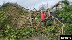 FILE - A person walks over a fallen tree in the aftermath of Cyclone Kevin, in Port Vila, Vanuatu, March 4, 2023, in this screen grab obtained from a social media video. (DevMode/via Reuters)