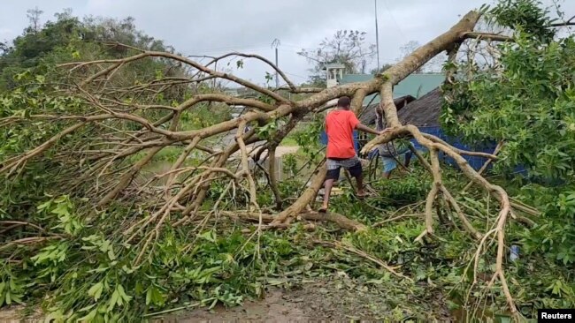 FILE - A person walks over a fallen tree in the aftermath of Cyclone Kevin, in Port Vila, Vanuatu, March 4, 2023, in this screen grab obtained from a social media video. (DevMode/via Reuters)