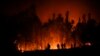 Autoridades en Chile posible negligencia alrededor de los incendios forestales
