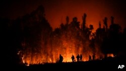 Sedikitnya 122 tewas akibat kebakaran hutan dan lahan hebat di Chile. 