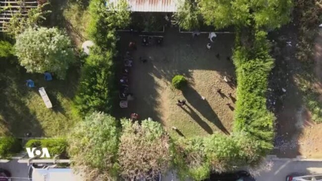 لە ئایندەییەکی نزیکدا مریشک و کەڵەشێری ڕەسەنی کوردی بە وڵاتان دەناسێنرێن

