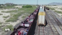 دەیان کۆچبەر لە مەکسیکەوە لە ڕێگەی جیاوازەوە هەوڵی خەونی گەیشتن بە ئەمەریکا دەدەن 