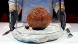 A meatball made from flesh cultivated using the DNA of an extinct woolly mammoth is presented at NEMO Science Museum created by a cultured meat company, in Amsterdam, Netherlands, March 28, 2023.