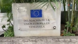 Dirigentes apoyan resolución del Parlamento Europeo sobre elecciones en Venezuela