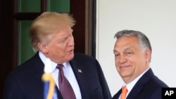 FILE - President Donald Trump welcomes Hungarian Prime Minister Viktor Orban to the White House in Washington, on May 13, 2019. 