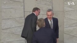 北约各国防长合照全家福