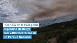  Incendio en la Patagonia argentina destruyen casi 2.000 hectáreas de un Parque Nacional