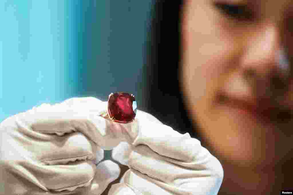 An employee poses with the 55.22 carat &quot;The Estrela de Fura&quot; ruby, the largest in the world and expected to earn up to $30 million in an upcoming New York public sale, during a preview event at Sotheby&#39;s in Hong Kong.