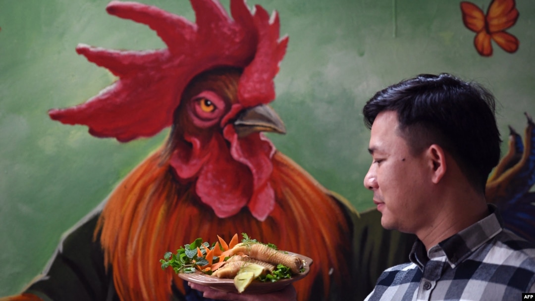 Seorang koki membawa hidangan kaki ayam Dong Tao di sebuah restoran di Hanoi, Vietnam, 15 Januari 2023. (Nhac NGUYEN / AFP)