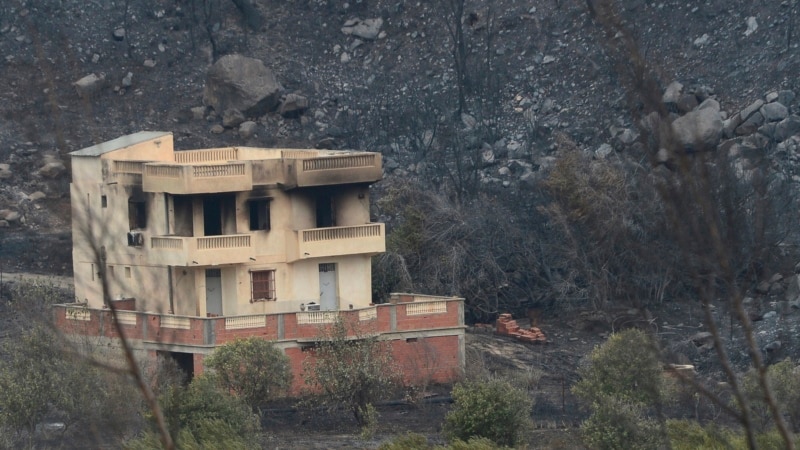 Après les incendies meurtriers en Algérie, l'estimation des dégâts et le ravitaillement des sinistrés