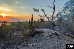 Kebakaran hutan di lahan basah Pantanal di Porto Jofre, Negara Bagian Mato Grosso, Brasil, 13 November 2023. (ROGERIO FLORENTINO / AFP)