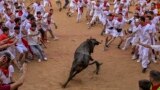 Revelers stand around the cow as it enters the bull ring at the end of the fourth running of the bulls during the San Fermin fiestas in Pamplona, Spain, July 10, 2023. 