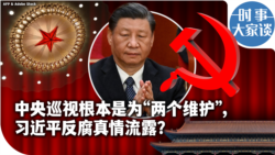 时事大家谈：中央巡视根本是为“两个维护”，习近平反腐真情流露？